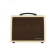 Blackstar SA-2 - Stand Adapter for Sonnet Series Acoustic Amp