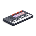 Novation FLkey Mini 2