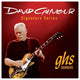 GHS David Gilmoure Signature Series Strings for Les Paul 0.10 1/2 - 0.50 Gauge