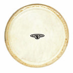 Latin Percussion 6" Rawhide Bongo Head for the World Beat Series CP221 and LPM2049