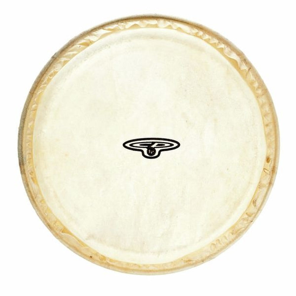 Latin Percussion 6" Rawhide Bongo Head for the World Beat Series CP221 and LPM2049