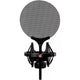 SE Electronics Isolation Pack