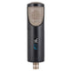 SE Electronics RNT Condenser Microphone