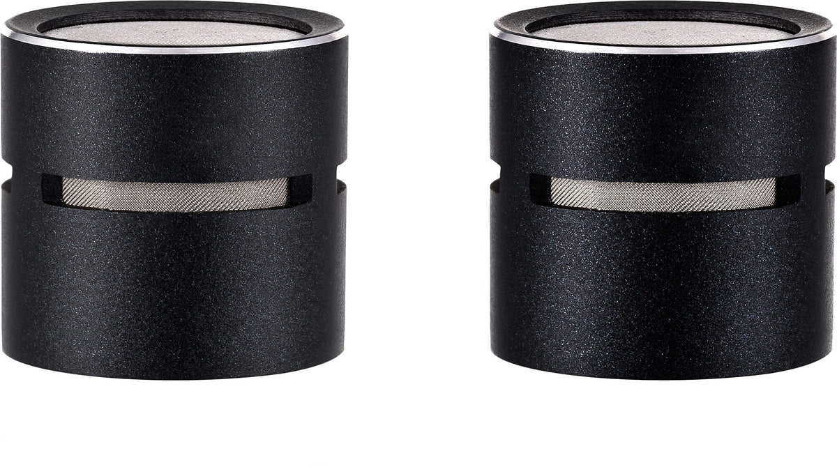 SE Electronics sE8 cardioid capsule (P)