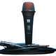 SE Electronics V2 SWITCH incl. 5m (15') Cable XLR to 6,3mm TS (1/4