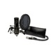 Sontronics STC-20 Pack: Large Diaphragm Cardioid Condenser Microphone with Shockmount, Pop Filter, Cable, & Pouch, Black