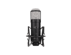 Universal Audio UA Sphere DLX Microphone System